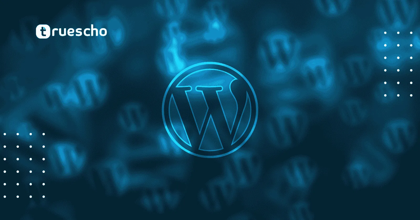 WordPress Plugins 